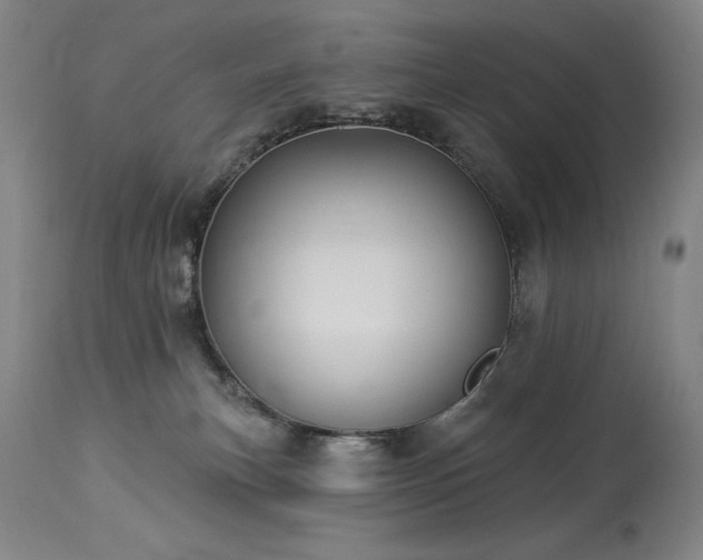 X0000114000183200910021325
