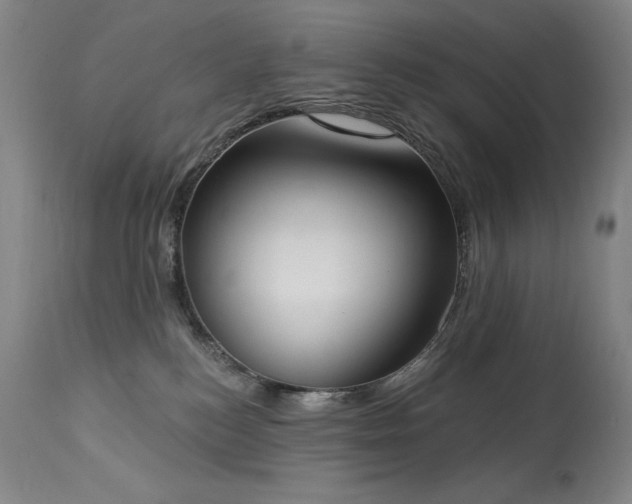 X0000114000184200910021325