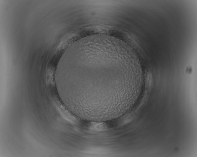 X0000114000185200910021325