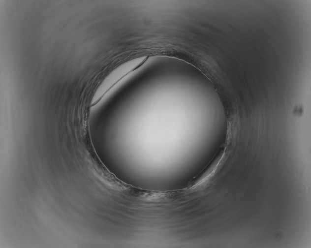 X0000114000186200910021325