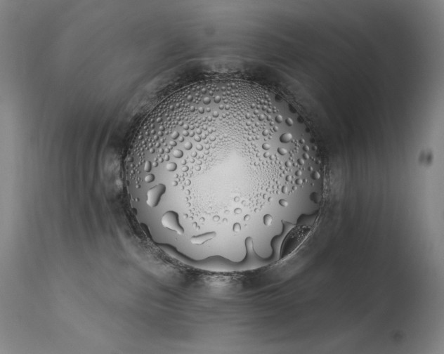 X0000114000187200910021325