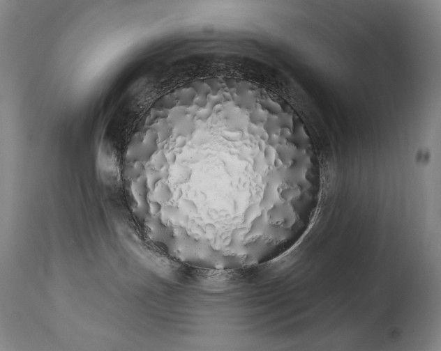 X0000114000191200910021325