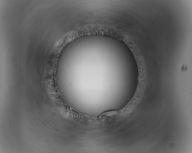 X0000114000192200910021325