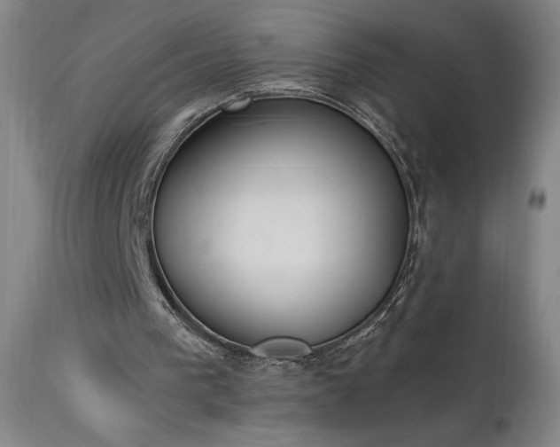 X0000114000193200910021324
