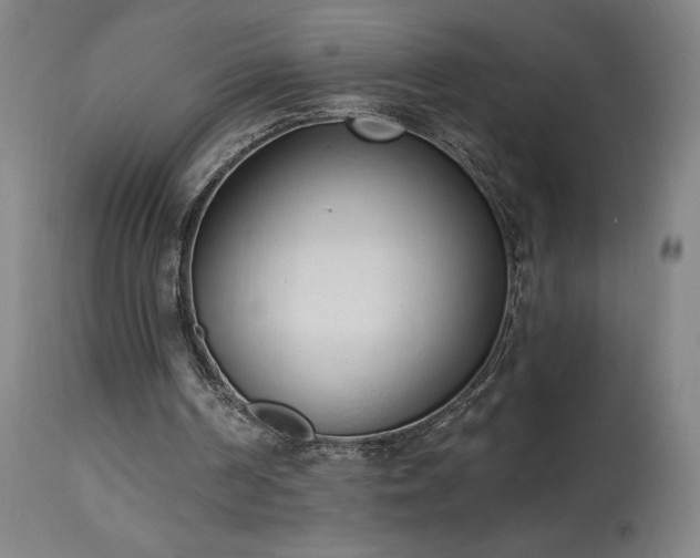 X0000114000194200910021324