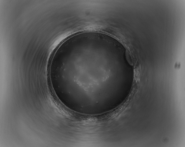 X0000114000196200910021324