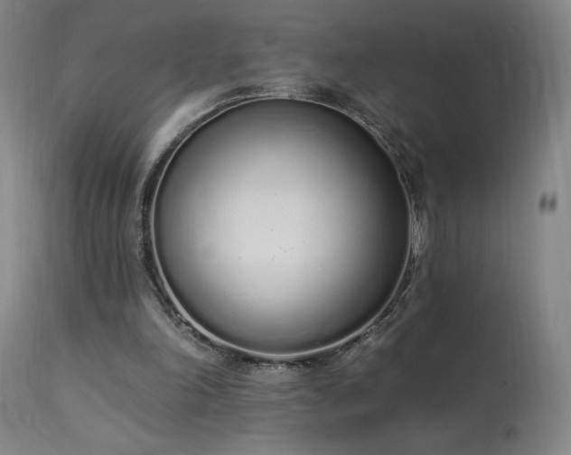 X0000114000198200910021324