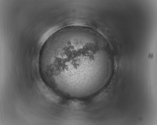 X0000114000199200910021324