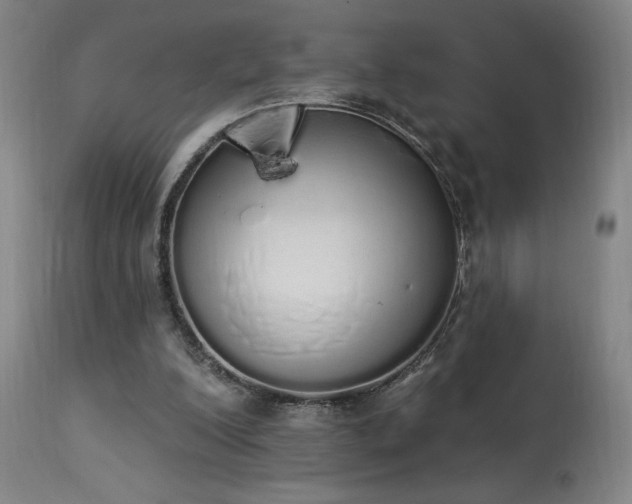 X0000114000200200910021324