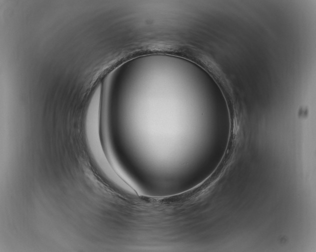 X0000114000201200910021324