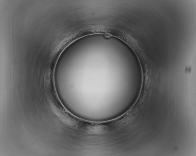 X0000114000202200910021324