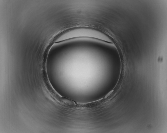 X0000114000203200910021324