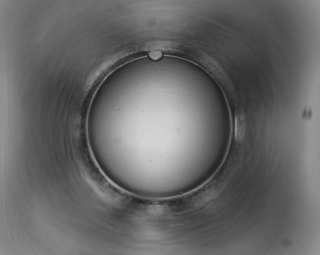 X0000114000204200910021324