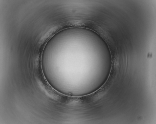 X0000114000206200910021324