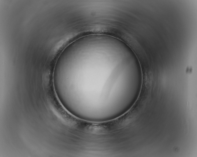 X0000114000208200910021324