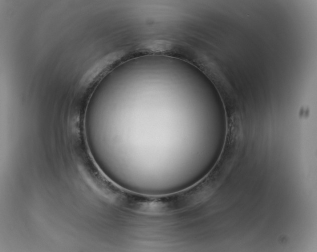 X0000114000212200910021324