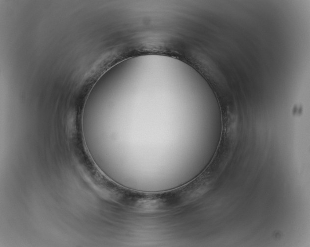 X0000114000213200910021324