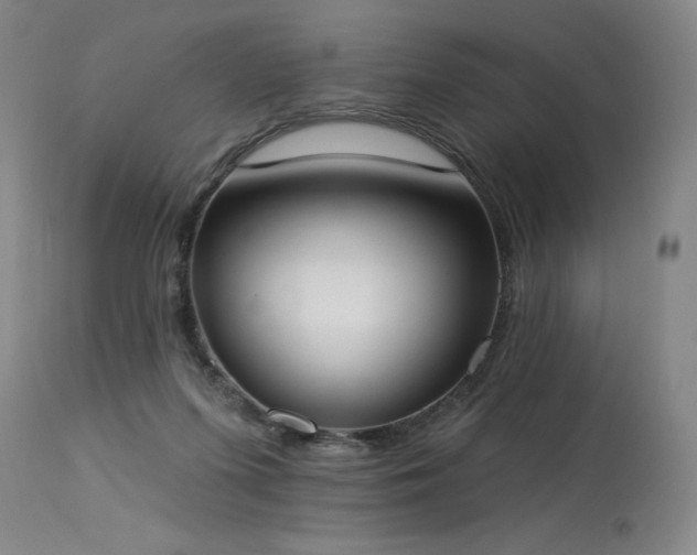 X0000114000215200910021324