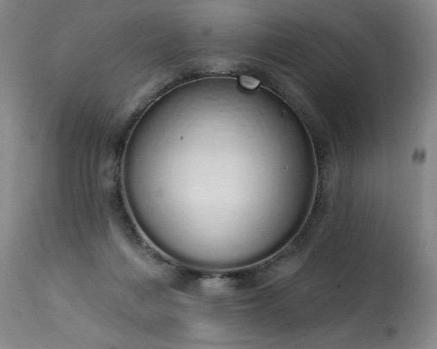 X0000114000216200910021324