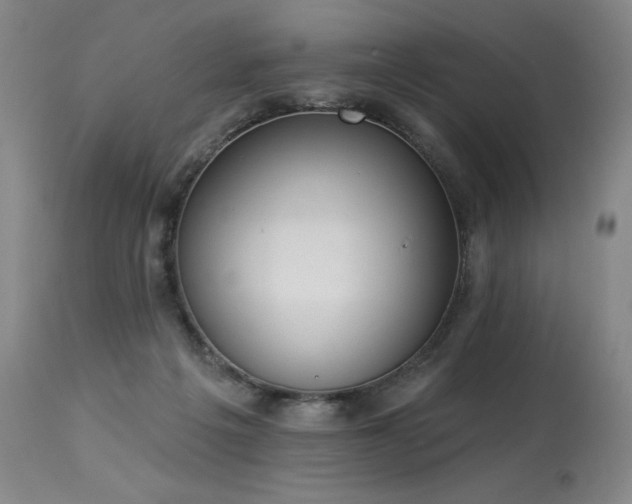 X0000114000217200910021324