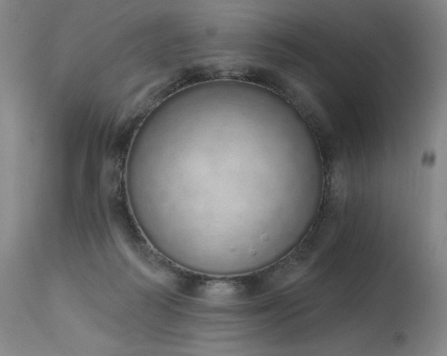 X0000114000218200910021324