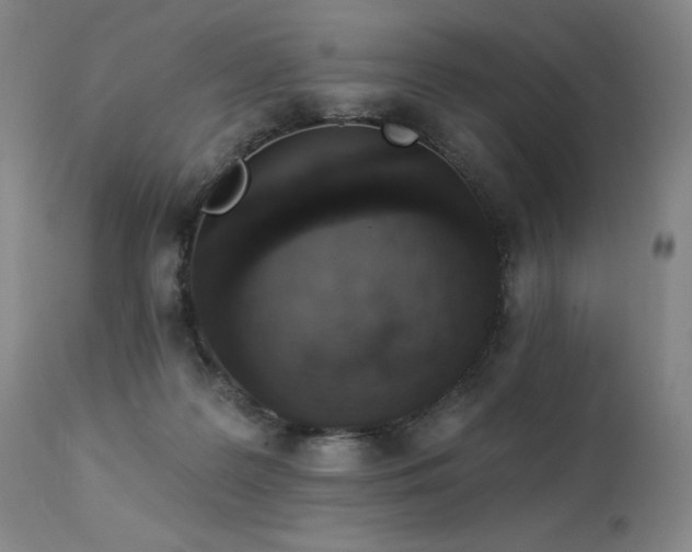 X0000114000219200910021324