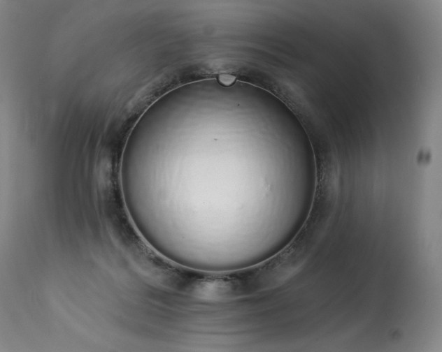 X0000114000220200910021324