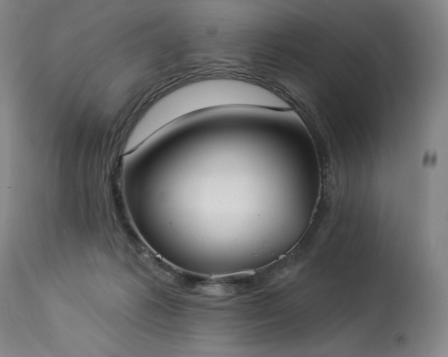X0000114000221200910021324