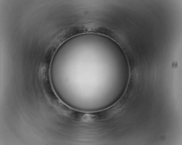 X0000114000222200910021324