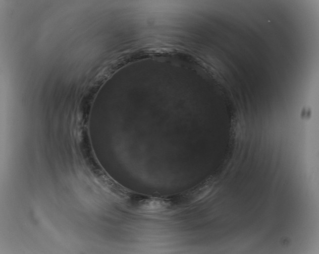 X0000114000223200910021324