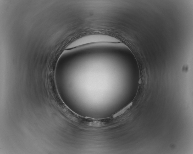 X0000114000225200910021324