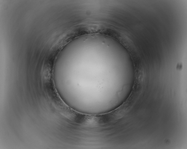 X0000114000226200910021324