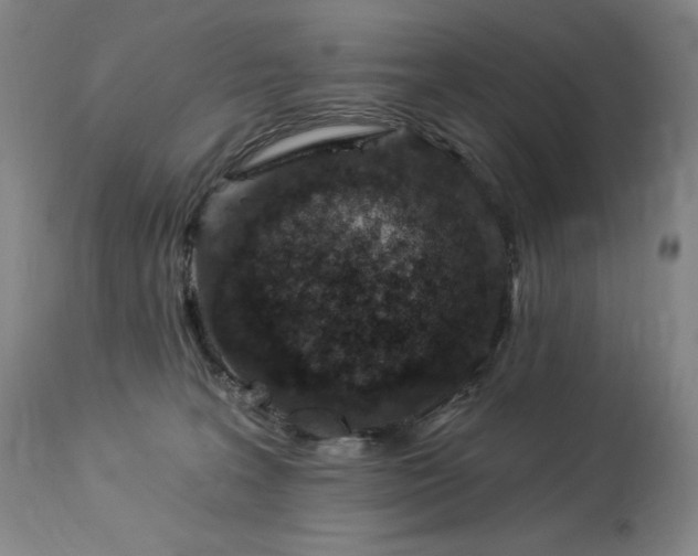 X0000114000227200910021324