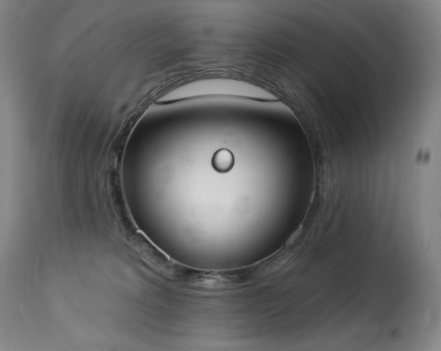 X0000114000229200910021324