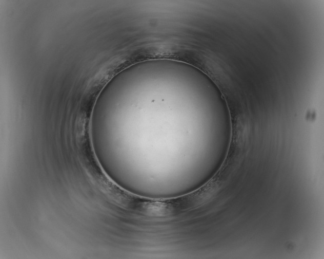 X0000114000230200910021323
