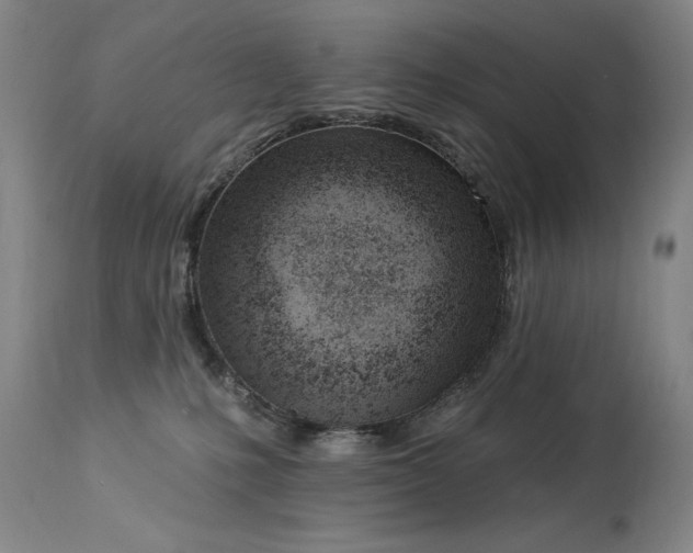 X0000114000231200910021323