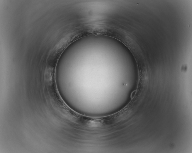 X0000114000232200910021323