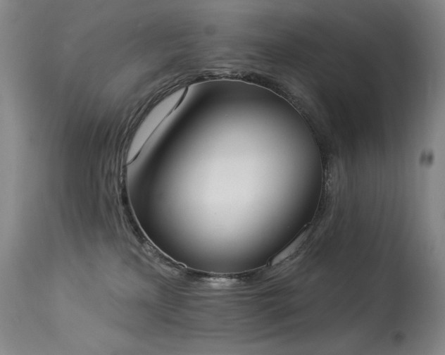 X0000114000233200910021323