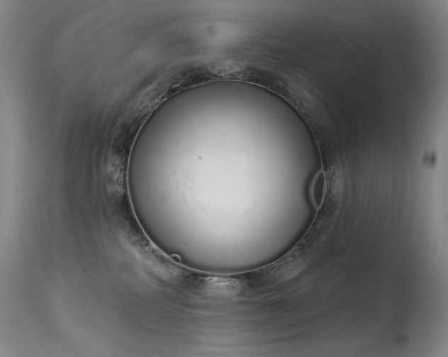 X0000114000234200910021323