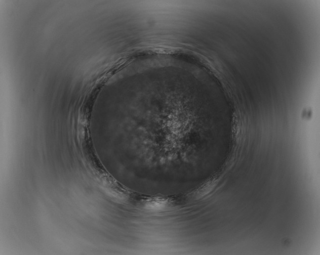 X0000114000235200910021323