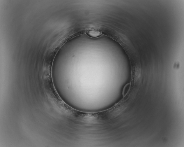 X0000114000236200910021323