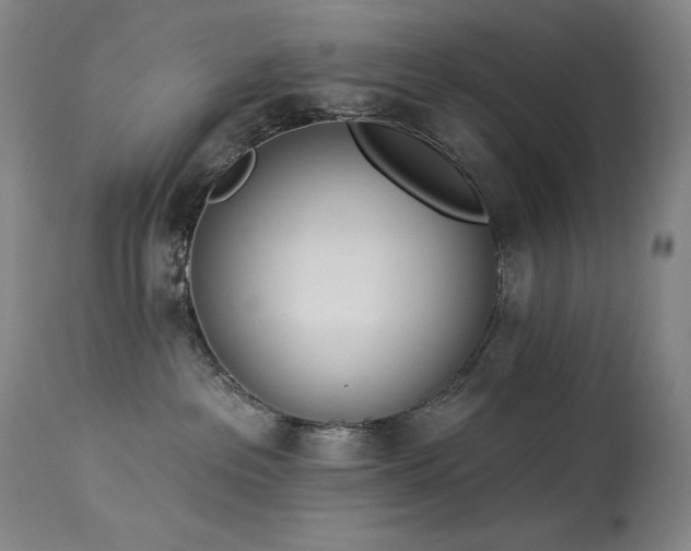 X0000114000237200910021323