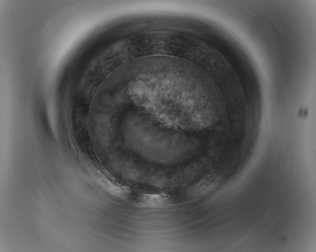 X0000114000239200910021323