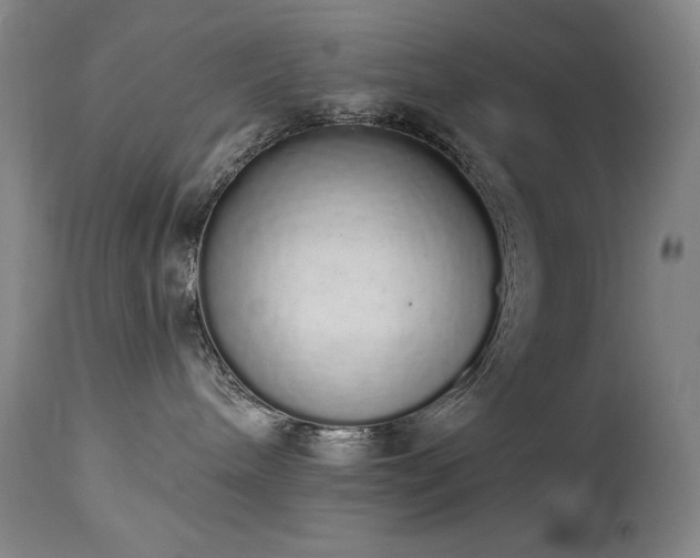 X0000114000240200910021323