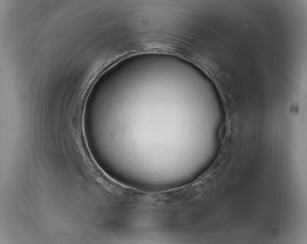 X0000114000241200910021323