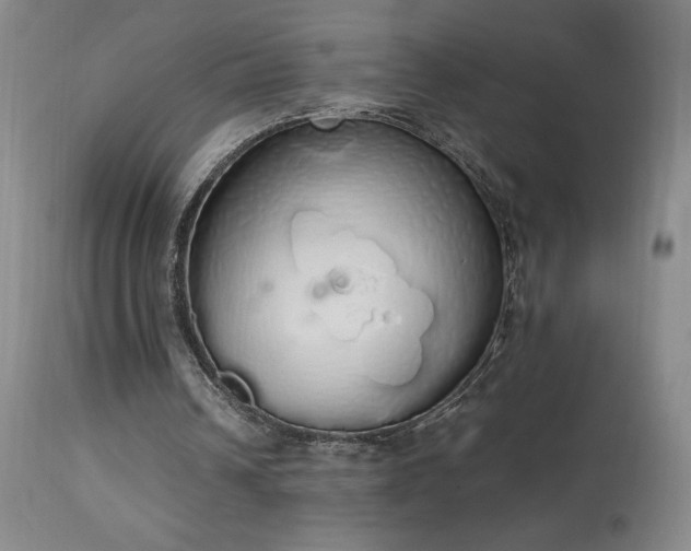 X0000114000242200910021323
