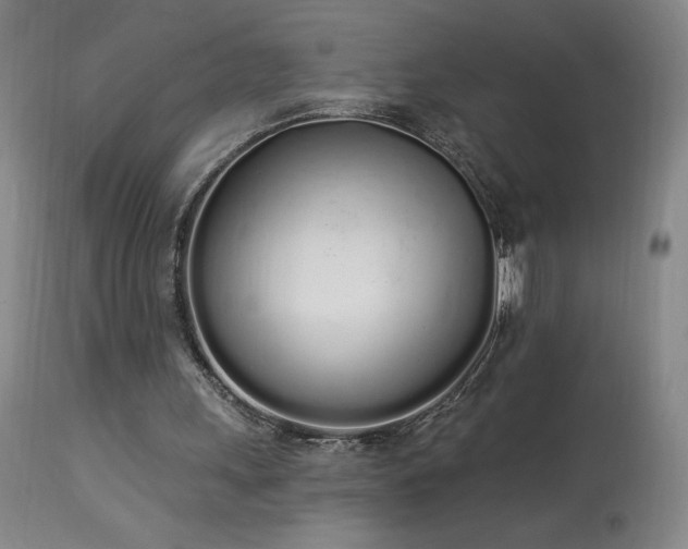 X0000114000243200910021323