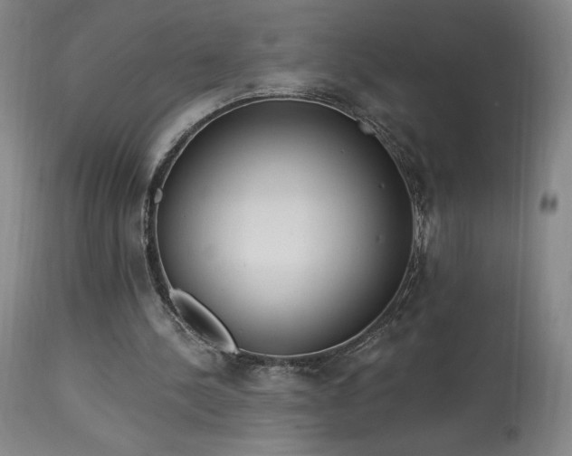 X0000114000244200910021323