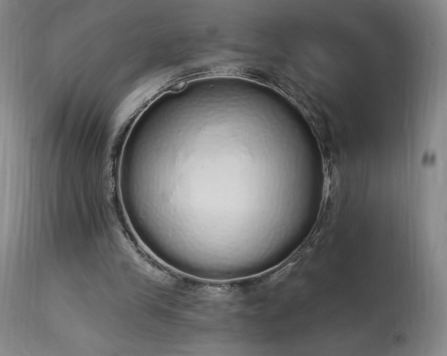 X0000114000245200910021323