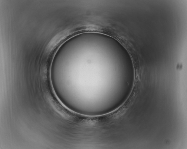 X0000114000247200910021323